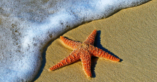 5 activités incontournables à faire à la plage cet été