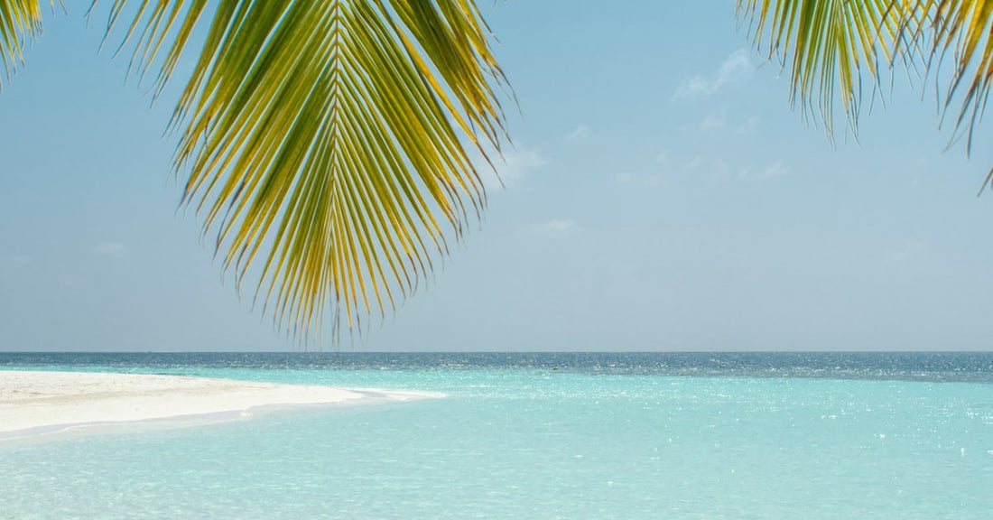 Les meilleurs livres à lire à la plage