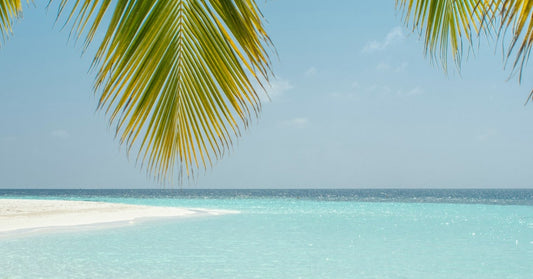 Les meilleurs livres à lire à la plage
